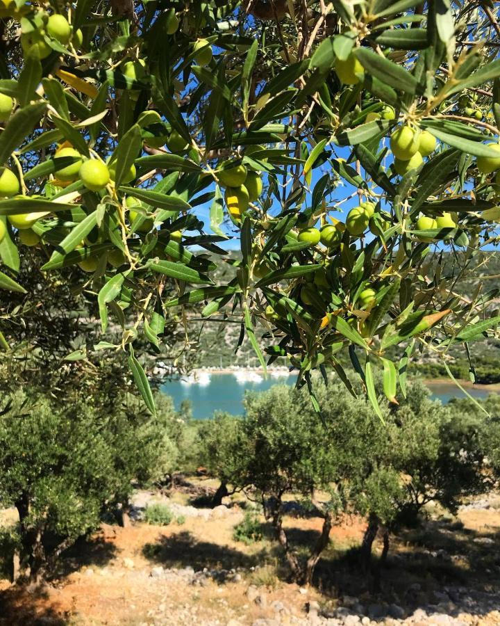 Apartment Dolores Cres Εξωτερικό φωτογραφία