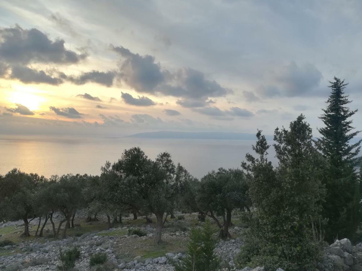 Apartment Dolores Cres Εξωτερικό φωτογραφία